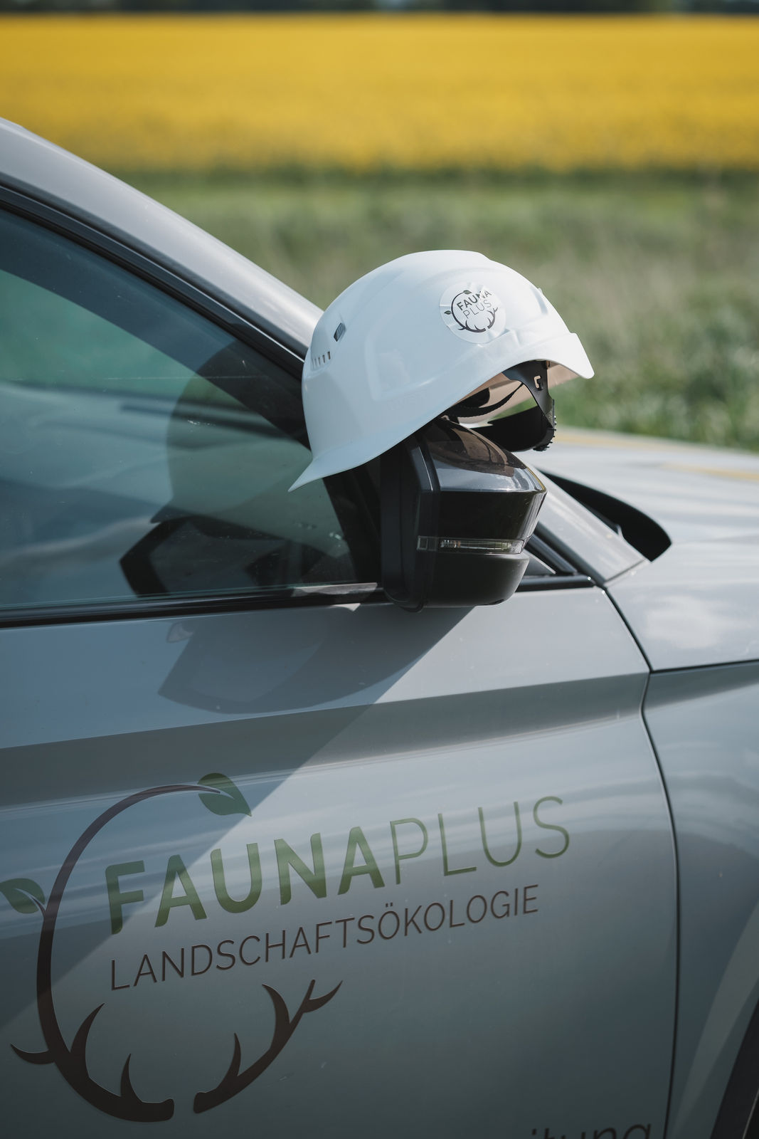 Fauna Plus – Umweltbaubegleitung auf der Baustelle